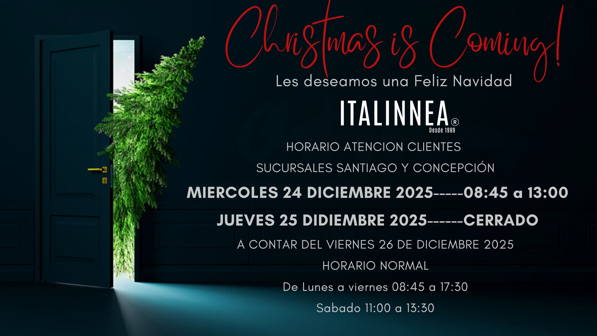 HORARIOS DIAS FIESTAS NAVIDAD 2025