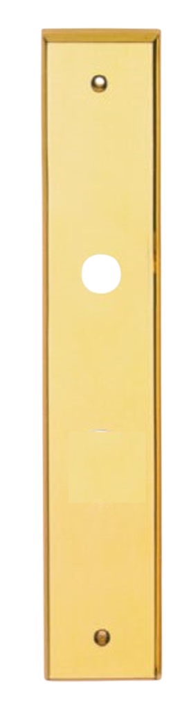 PLACA DE ACCESO LP MODERNA PVD PASO (Venta hasta agotar stock)